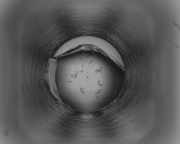 X0000091720604200709211002