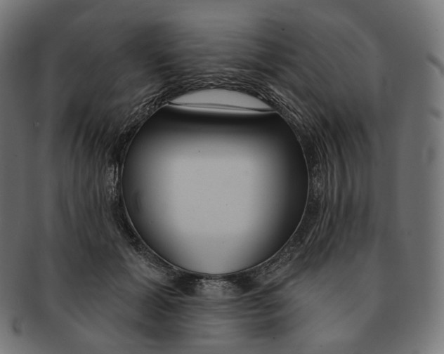 X0000091720605200709211002