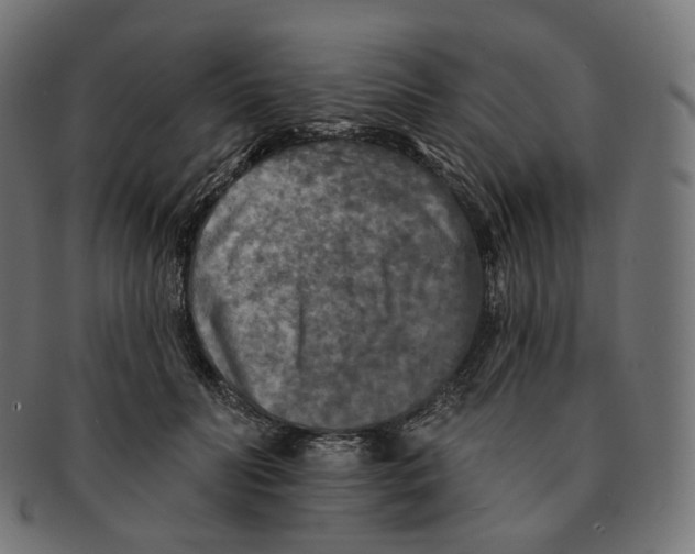 X0000091720606200709211002