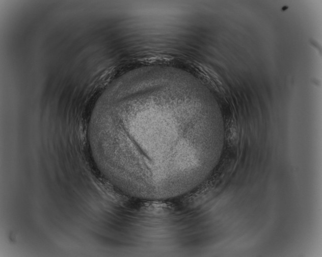 X0000091720607200709211002