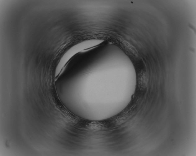 X0000091720608200709211002