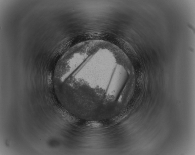 X0000091720610200709211002