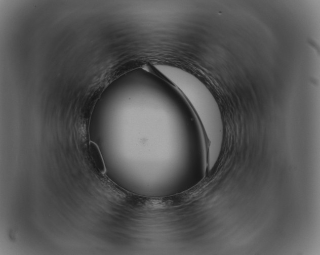 X0000091720613200709211002