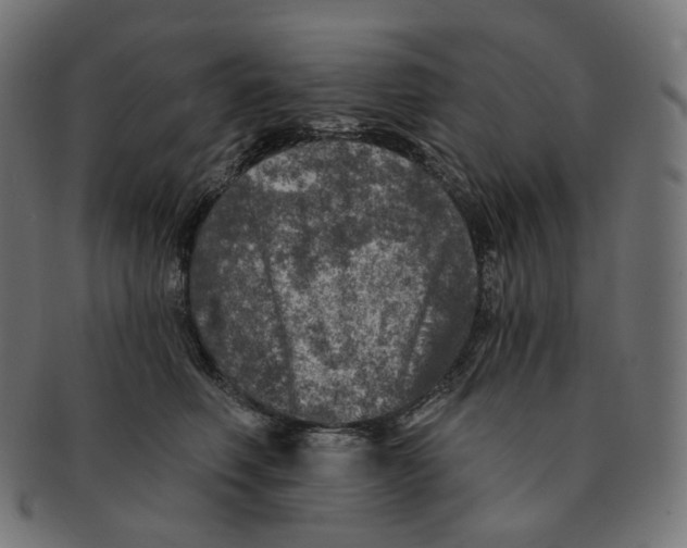 X0000091720614200709211002