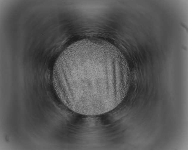 X0000091720615200709211002