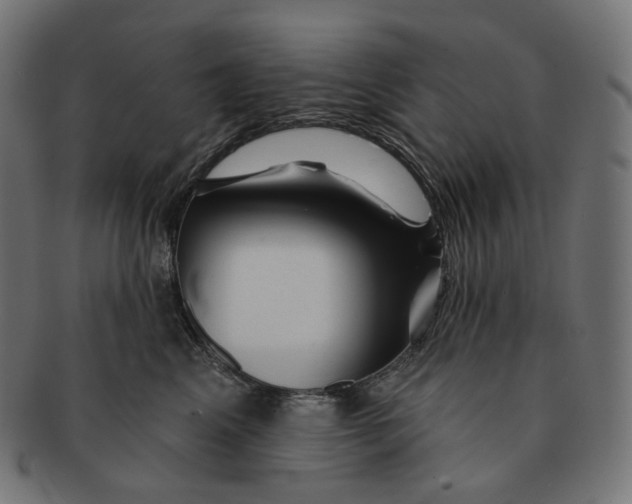 X0000091720617200709211002