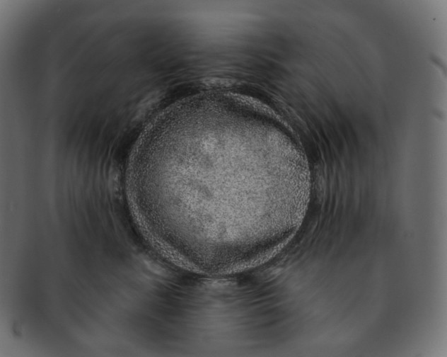 X0000091720619200709211002