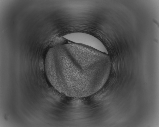 X0000091720620200709211002