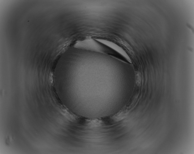 X0000091720621200709211002