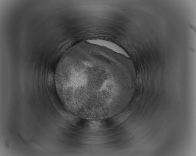 X0000091720623200709211002