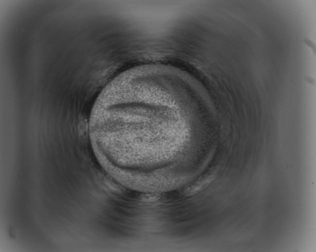 X0000091720624200709211002