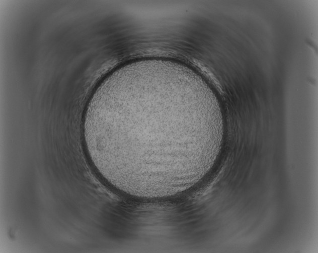 X0000091720625200709211001