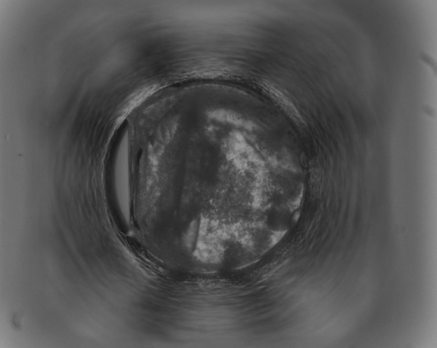 X0000091720626200709211001