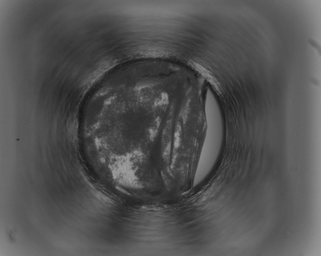 X0000091720627200709211001