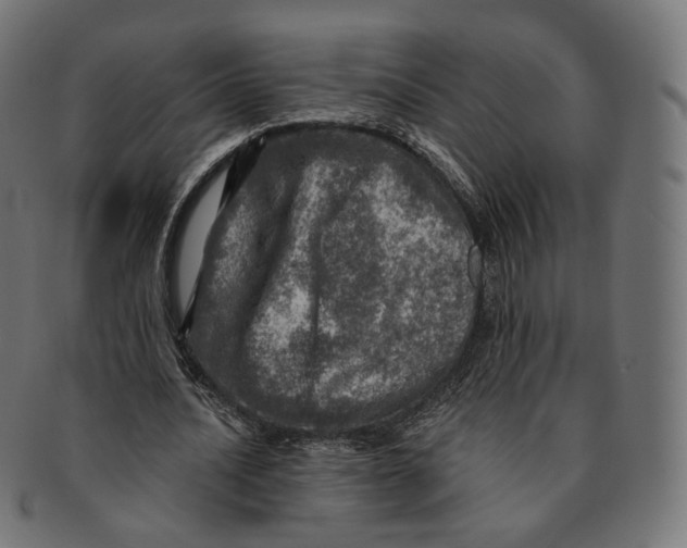 X0000091720628200709211001