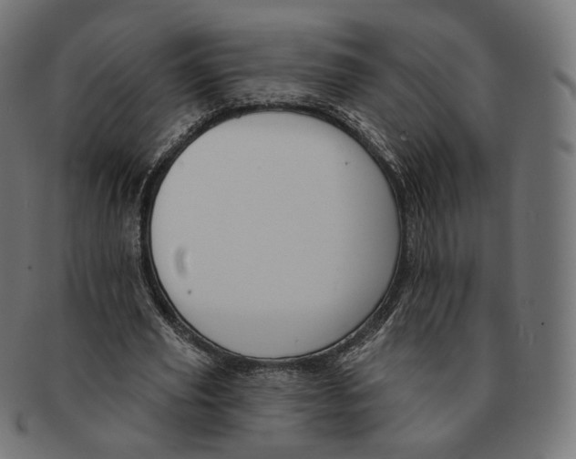 X0000091720629200709211001