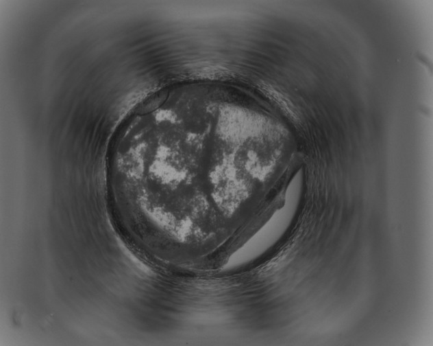 X0000091720630200709211001