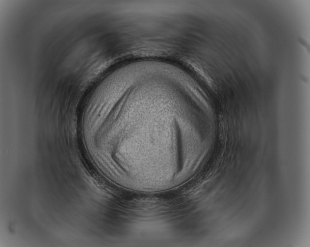 X0000091720631200709211001