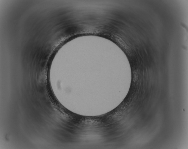 X0000091720632200709211001