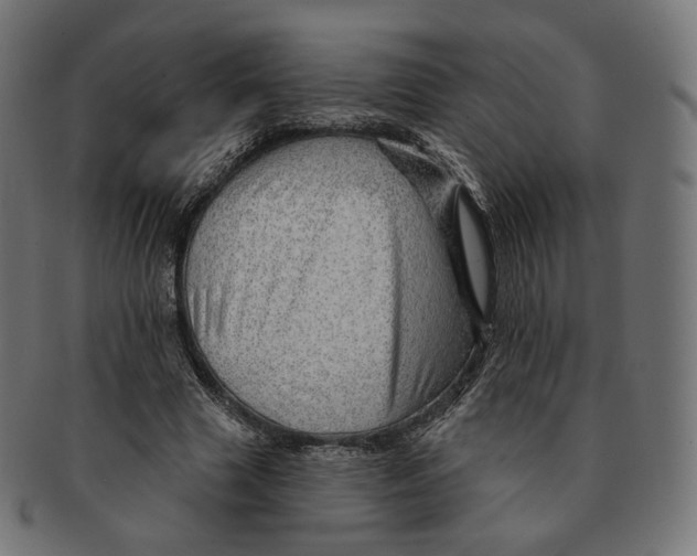 X0000091720633200709211001