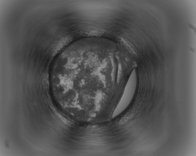 X0000091720634200709211001