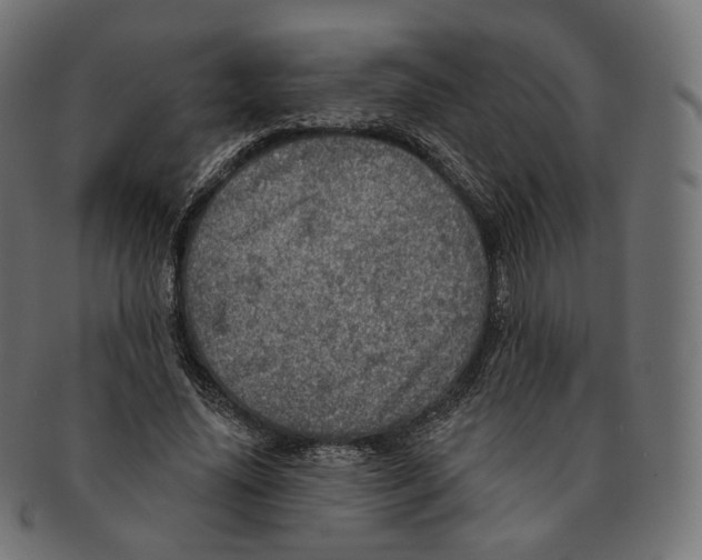 X0000091720636200709211001