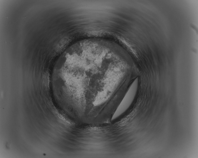 X0000091720637200709211001