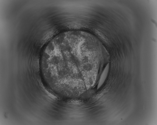 X0000091720638200709211001