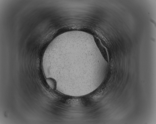 X0000091720639200709211001