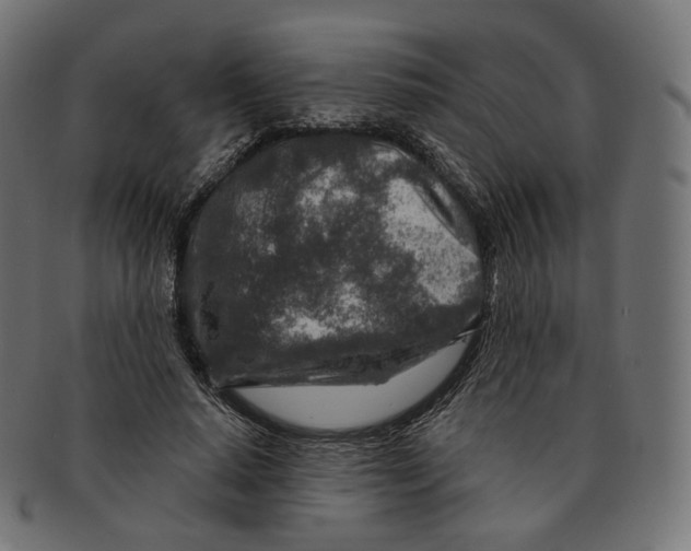 X0000091720640200709211002