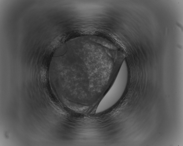 X0000091720641200709211002