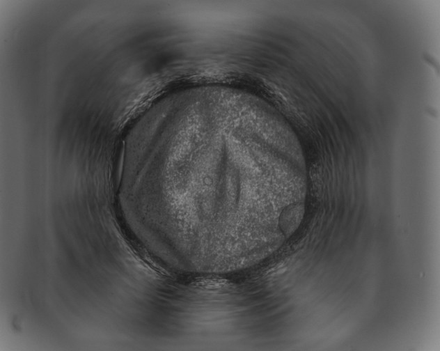 X0000091720642200709211002