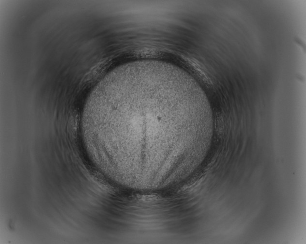 X0000091720645200709211002