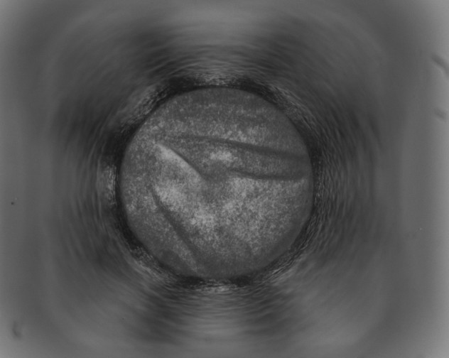 X0000091720646200709211002