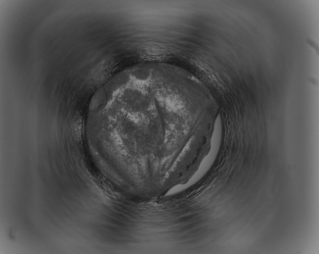 X0000091720647200709211002