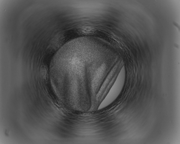 X0000091720651200709211002