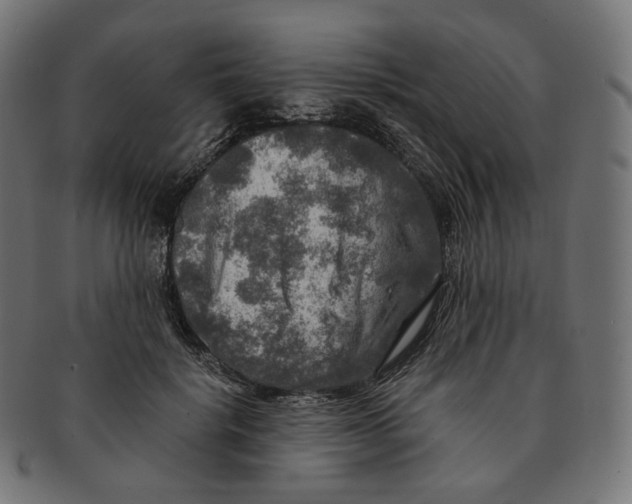 X0000091720652200709211002