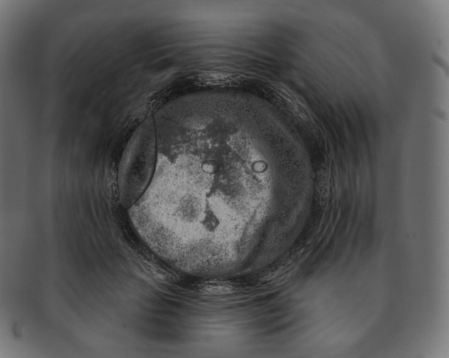 X0000091720653200709211002