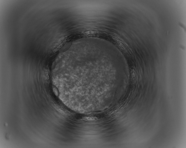 X0000091720654200709211002