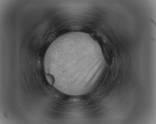 X0000091720655200709211002