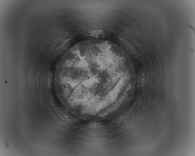 X0000091720656200709211002