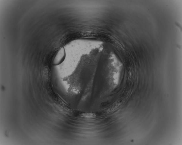 X0000091720659200709211002