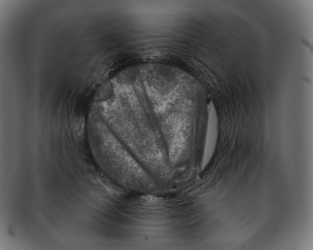 X0000091720660200709211002