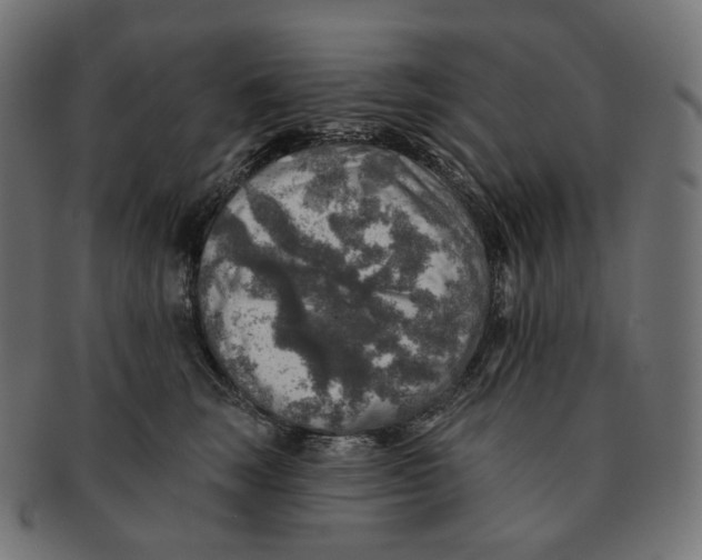 X0000091720663200709211002