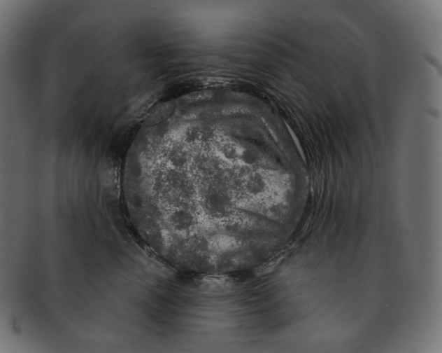 X0000091720666200709211002