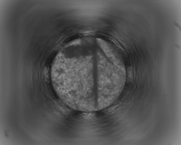 X0000091720667200709211002