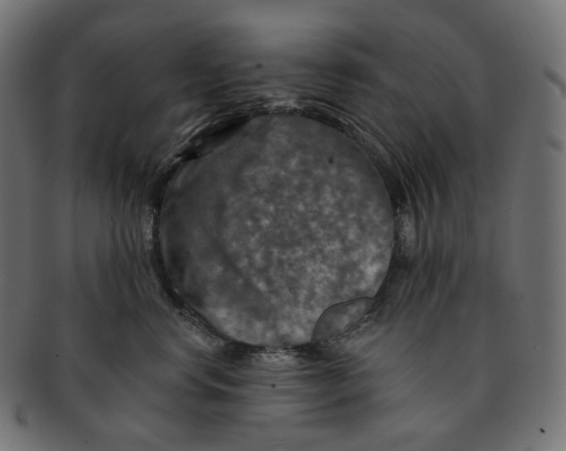 X0000091720668200709211002