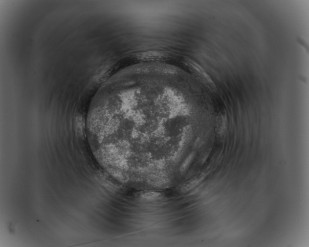 X0000091720669200709211002