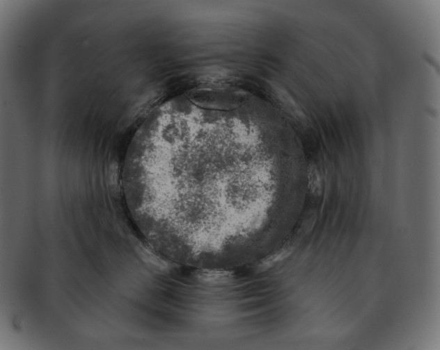 X0000091720670200709211002