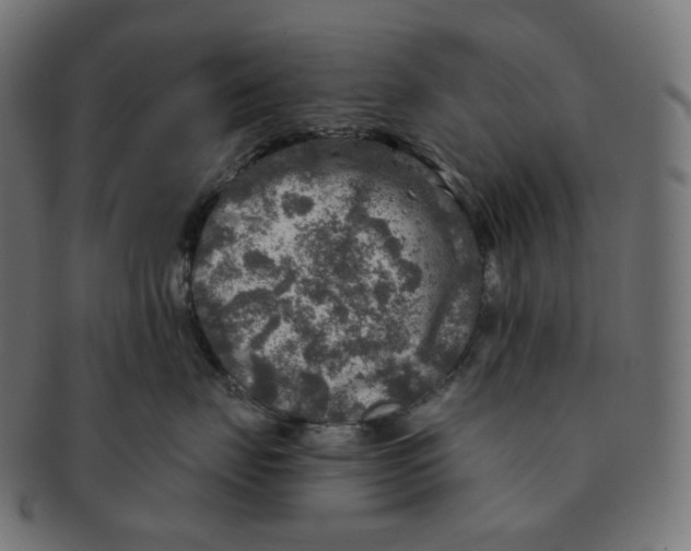 X0000091720671200709211002